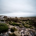eastbourne6