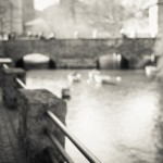 erfurt-9